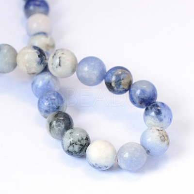 Natural Sodalite Round Bead Strands X-G-E334-6mm-08-1