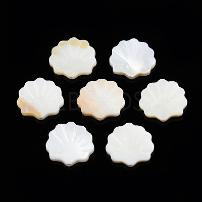 Natural Freshwater Shell Beads X-SHEL-T007-02-1