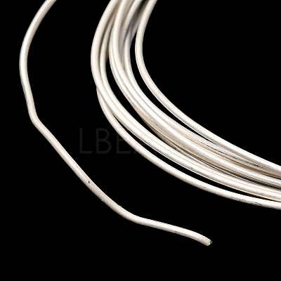 925 Sterling Silver Wire STER-D002-0.8mm-A-1