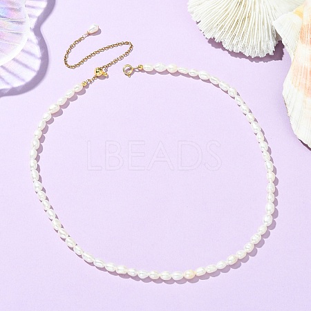 Adjustable Natural Cultured Freshwater Pearl Rice Beaded Necklaces for Women NJEW-JN06341-1