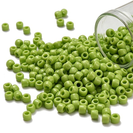 TOHO 6/0 Round Beads SEED-TR06-0044-1