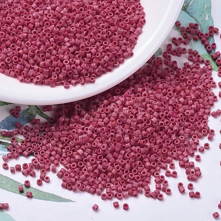 MIYUKI Delica Beads X-SEED-J020-DB0362-1