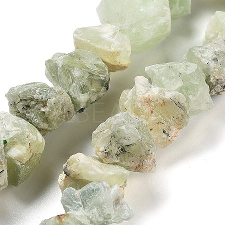 Raw Rough Natural Prehnite Beads Strands G-P528-A05-01-1