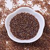 MIYUKI Delica Beads SEED-X0054-DB0170-2