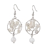 Natural Gemstone Dangle Earrings EJEW-JE05747-3