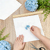 Dried Embossed Paper DIY-WH0622-646C-3
