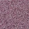 MIYUKI Delica Beads SEED-X0054-DB1434-3