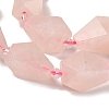 Natural Rose Quartz Beads Strands G-NH0005-B09-01-4