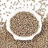 6/0 Glass Seed Beads SEED-A017-4mm-1113-1