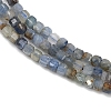 Natural Kyanite Beads Strands G-B088-E24-02-4