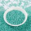 MIYUKI Round Rocailles Beads SEED-JP0009-RR0571-2