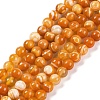 Natural Striped Agate/Banded Agate Beads Strands LS-G-H037-A02-01-2