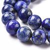Natural Lapis Lazuli Round Bead Strands X-G-E262-01-10mm-9