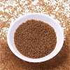 MIYUKI Delica Beads Small SEED-X0054-DBS1101-2