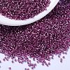 MIYUKI Delica Beads X-SEED-J020-DB2162-1