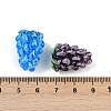 Handmade Lampwork Beads LAMP-U004-07M-4