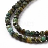 Natural African Turquoise(Jasper) Beads Strands G-P472-02-3