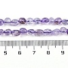 Natural Lavender Amethyst Beads Strands G-P497-01B-21-5