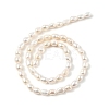 Natural Cultured Freshwater Pearl Beads Strands PEAR-I007-01B-04B-3