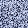 MIYUKI Round Rocailles Beads X-SEED-G007-RR0498-3