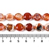 Natural Red Agatae Beads Strands G-C116-A50-01-5