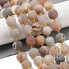 Natural Geode/Druzy Agate Beads Strands G-A248-A05-01-1