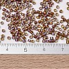 MIYUKI Delica Beads SEED-X0054-DB1692-4