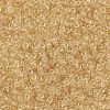MIYUKI Round Rocailles Beads X-SEED-G007-RR0132L-3
