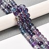 Natural Fluorite Beads Strands G-B048-B01-02-2