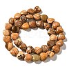 Natural Picture Jasper Beads Strands G-R190-10mm-49-3