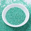 MIYUKI Delica Beads SEED-J020-DB0627-2