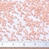 MIYUKI Delica Beads SEED-J020-DB0206-4