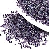 8/0 Glass Seed Beads SEED-A016-3mm-214-2