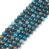 Natural Apatite Beads G-E481-05-8mm-01-1