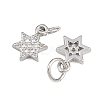Brass Micro Pave Cubic Zirconia Pendants ZIRC-K070-41P-2