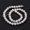 Natural Rainbow Moonstone Beads Strands G-K323-20A-4