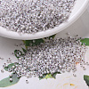 MIYUKI Delica Beads SEED-MY11-DB0223-1