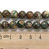 Tibetan Style dZi Beads Strands G-P526-D09-02-5