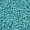 TOHO 6/0 Round Beads X-SEED-TR06-0055-3
