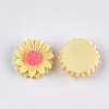 Resin Cabochons CRES-T010-60H-2