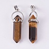 Natural Tiger Eye Double Terminated Pointed Pendants G-P373-B03-2