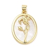 Rack Plating Brass Pave Shell Pendants KK-Z064-28G-03-1