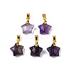 Natural Amethyst Charms X-G-N326-142-03-1
