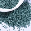 MIYUKI Delica Beads SEED-J020-DB2131-1