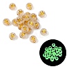 Luminous Transparent Acrylic Beads OACR-P037-01B-Y-1