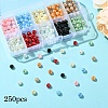 250Pcs 10 Colors Baking Paint Pearlized Glass Pearl Round Beads HY-YW0001-08-1