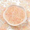 Ceylon Glass Seed Beads SEED-K009-02B-41-2