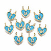 Alloy Enamel Charms X-ENAM-T012-02M-RS-1