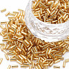 Plated Glass Bugle Beads SEED-S046-01A-22B-1