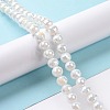 Electroplate Glass Beads Strands X-GLAA-E036-13E-2